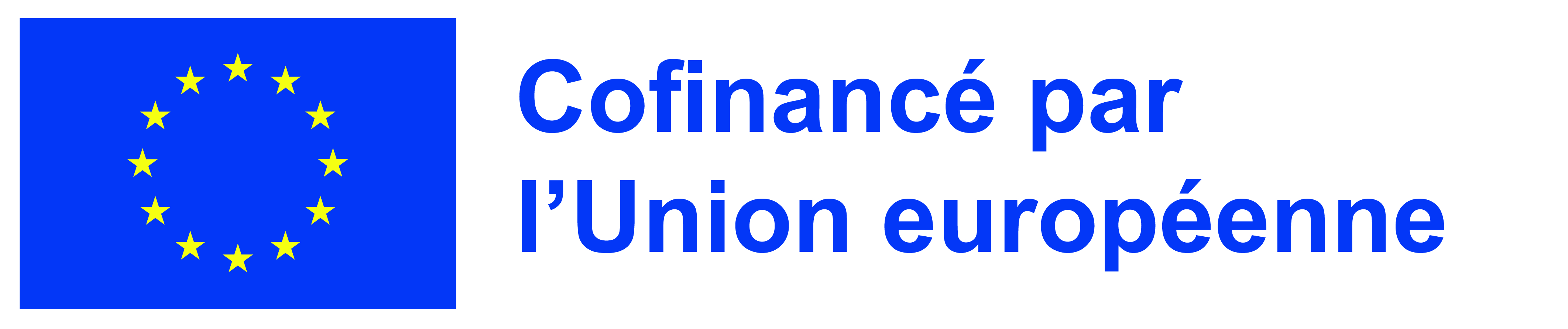 FR Cofinancé par l’Union européenne_POS