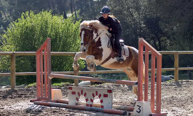 aubagne-staps-france