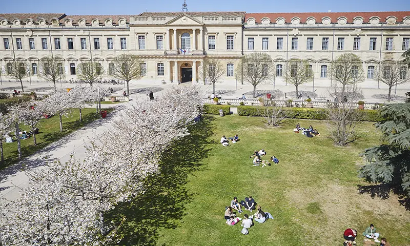 avignon-staps-france