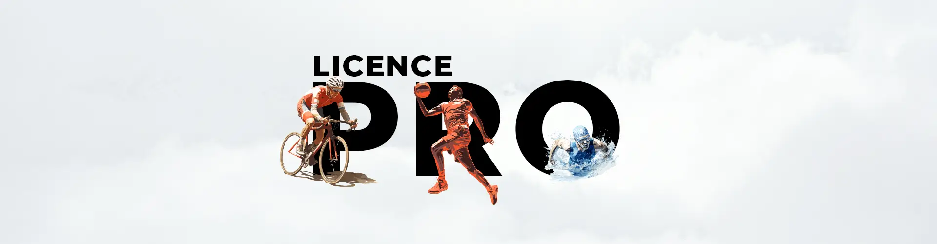 Licence Pro - C3D STAPS